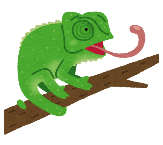 animal_chameleon.png