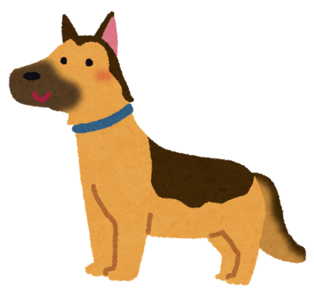 dog_german_shepherd.png