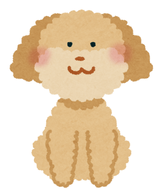 toypoodle_cream.png