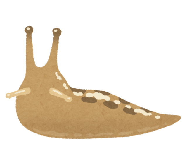 bug_namekuji.png