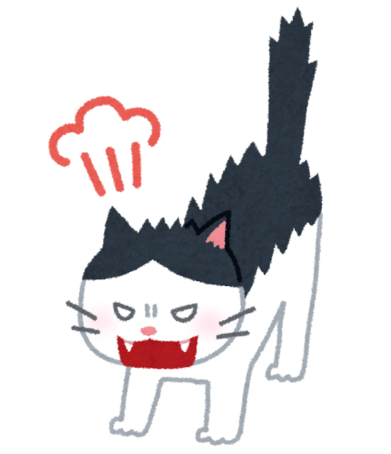 cat_angry.png