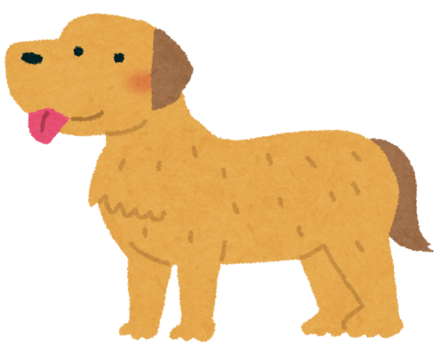 dog_golden_retriever.png