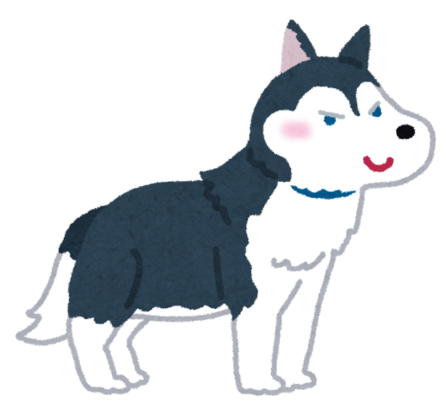 dog_siberian_husky.png