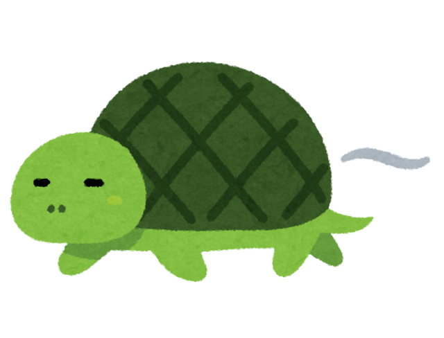 kame_slow_turtle.png