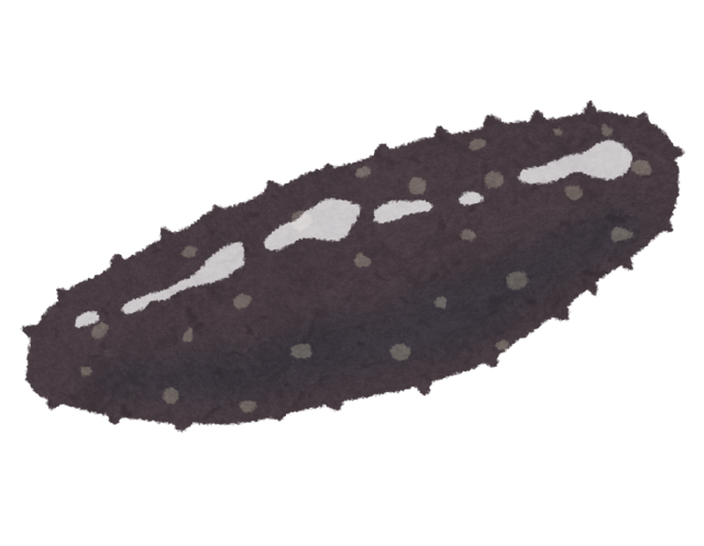 nettaigyo_namako.png